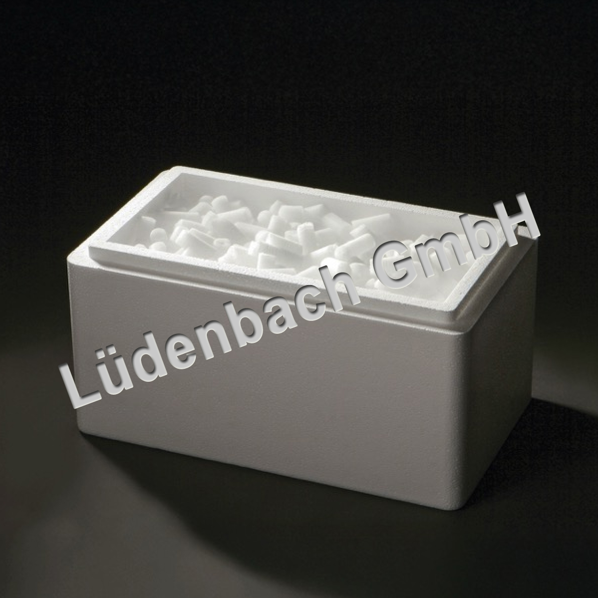 5 Kg Trockeneis inkl. Transportbox